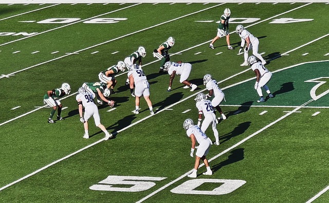 在资本市场 在资本市场