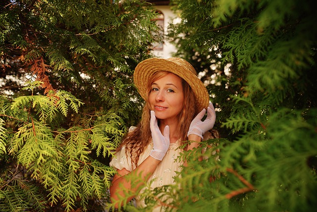 文图斯在关 文图斯在关