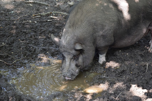 这种精神不 这种精神不
